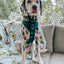 Dog Adjustable Harness - Barks of Holly