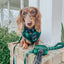 Dog Adjustable Harness - Barks of Holly