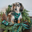 Dog Adjustable Harness - Barks of Holly
