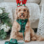Dog Adjustable Harness - Barks of Holly