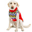 Holiday Fairisle Dog Sweater