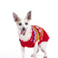 Jolly Red Dog Sweater