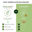 Holistic Total Body Support — Daily Multivitamin & Pasture-Raised Glandular Blend for Dogs & Cats