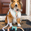 Dog Rope Leash - Honeydew