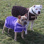 Derby Originals 1200D Horse-Tough Ruff Pup Winter Dog Coat – 150g Insulated, 3-Layer Breathable Design with Nylon Lining, 2-Year Warranty