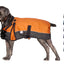 Derby Originals Adjust-to-Fit Horse-Tough Reflective 600D Waterproof Ripstop Nylon Winter Dog Coat 150g Polyfil with One Year Warranty