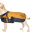 Derby Originals Adjust-to-Fit Horse-Tough Reflective 600D Waterproof Ripstop Nylon Winter Dog Coat 150g Polyfil with One Year Warranty