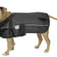 Derby Originals Adjust-to-Fit Horse-Tough Reflective 600D Waterproof Ripstop Nylon Winter Dog Coat 150g Polyfil with One Year Warranty