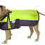 Derby Originals Adjust-to-Fit Horse-Tough Reflective 600D Waterproof Ripstop Nylon Winter Dog Coat 150g Polyfil with One Year Warranty
