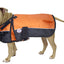 Derby Originals Adjust-to-Fit Horse-Tough Reflective 600D Waterproof Ripstop Nylon Winter Dog Coat 150g Polyfil with One Year Warranty