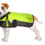 Derby Originals Adjust-to-Fit Horse-Tough Reflective 600D Waterproof Ripstop Nylon Winter Dog Coat 150g Polyfil with One Year Warranty
