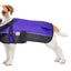 Derby Originals Adjust-to-Fit Horse-Tough Reflective 600D Waterproof Ripstop Nylon Winter Dog Coat 150g Polyfil with One Year Warranty