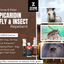 Horse & Rider Fly/Insect Repellent Starter Pack