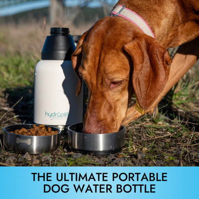 HydroPet® 32 oz Portable Dog Water Bottle – Stainless Steel Travel Flask with 2 Detachable Bowls, Carry Bag & Strap