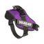 Julius-K9® IDC® Powerharness