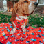 Dog Adjustable Harness - Disney Holiday Collection