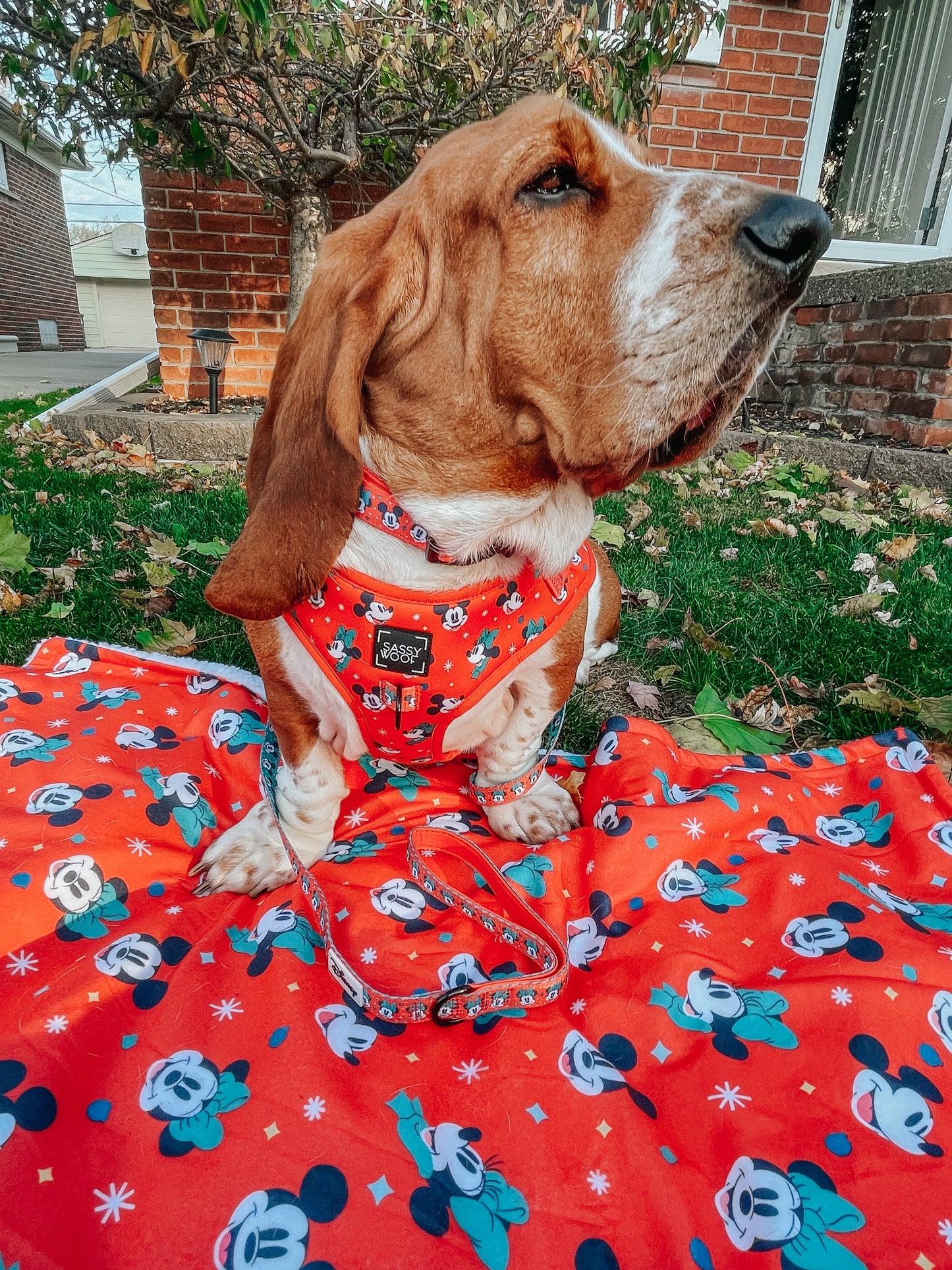 Dog Adjustable Harness - Disney Holiday Collection