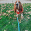 Dog Leash - Disney Holiday Collection