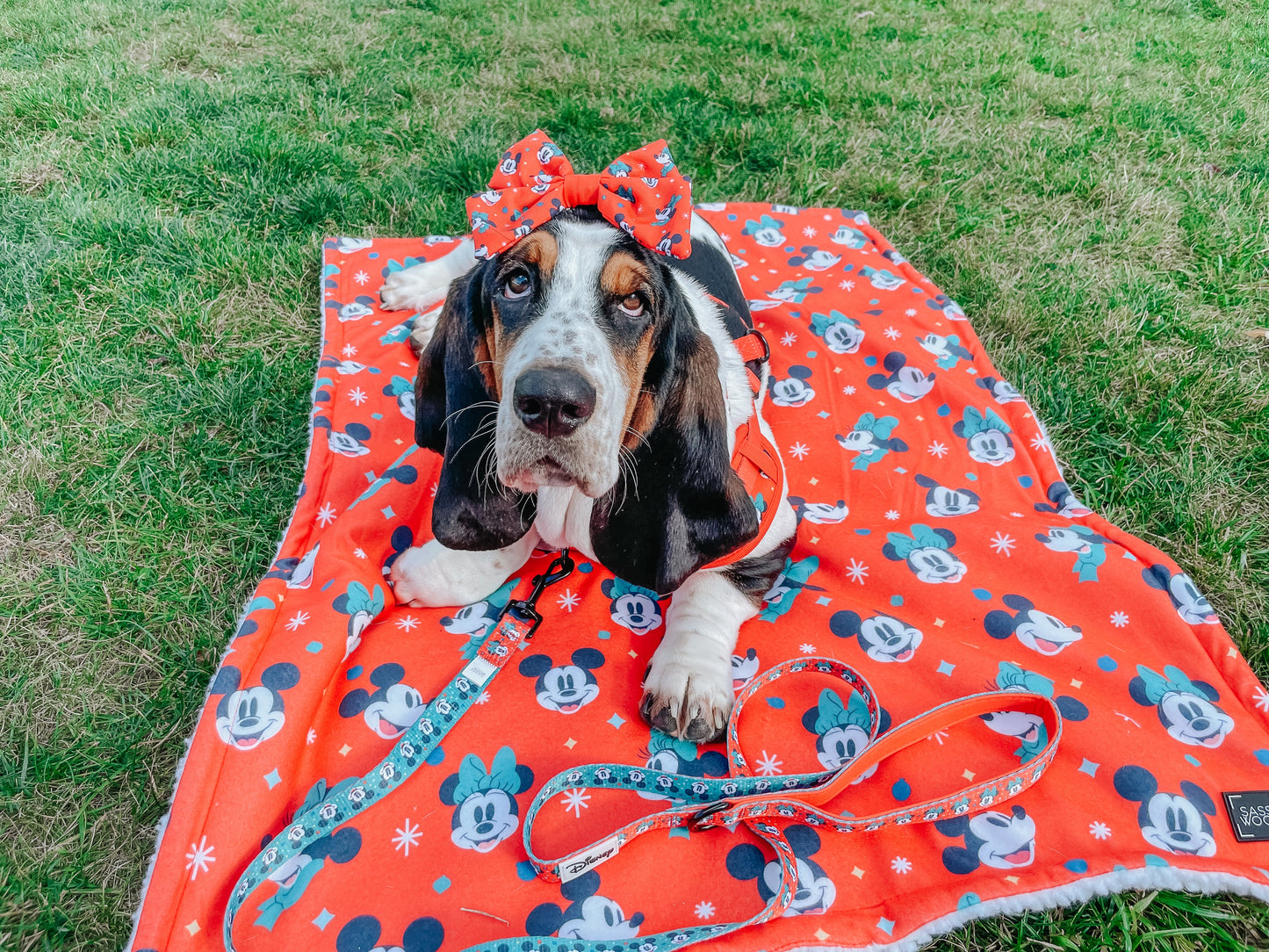 Dog Adjustable Harness - Disney Holiday Collection