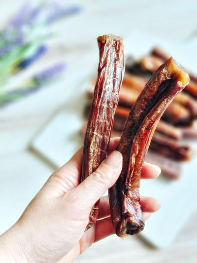 Beef Pizzle (Sticks, Loops, Short) - Limited Edition