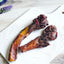 Beef Pizzle (Sticks, Loops, Short) - Limited Edition