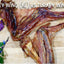 Turkey Wing