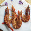 Shrimp