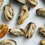 Green Lipped Mussels
