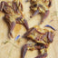 Whole Quails (Bone-In)