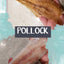 Pollock - (Wild Caught)