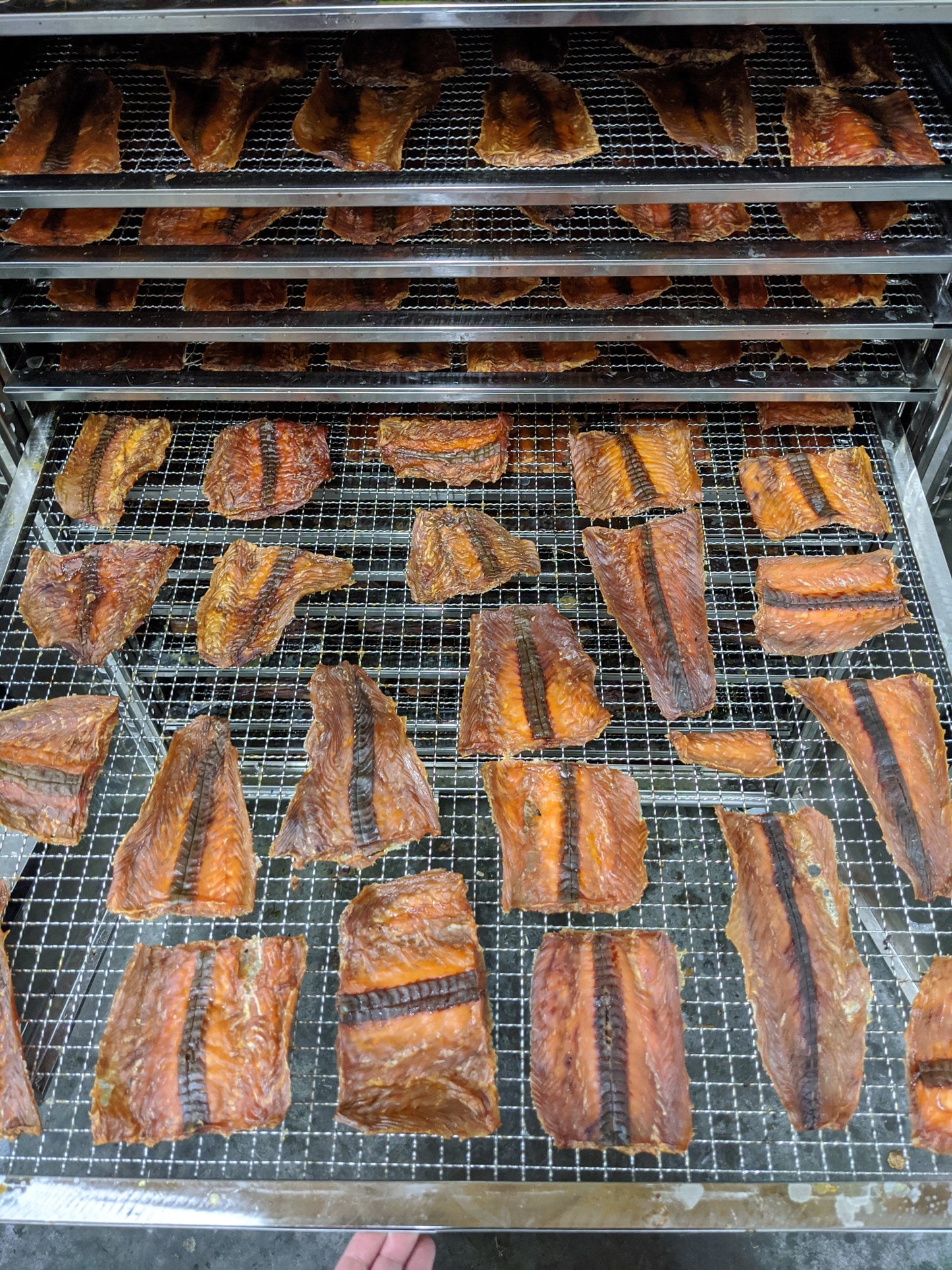 Salmon Fillet