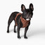 Harness