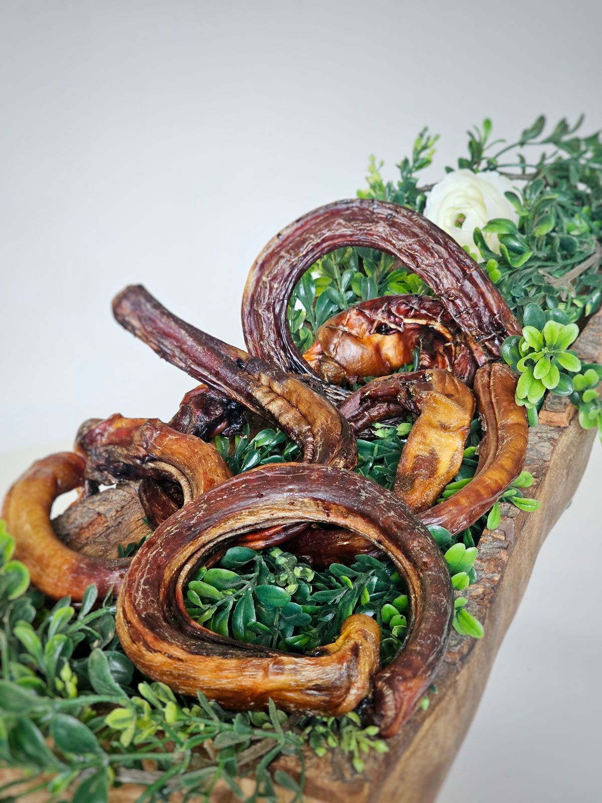 Beef Pizzle (Sticks, Loops, Short) - Limited Edition