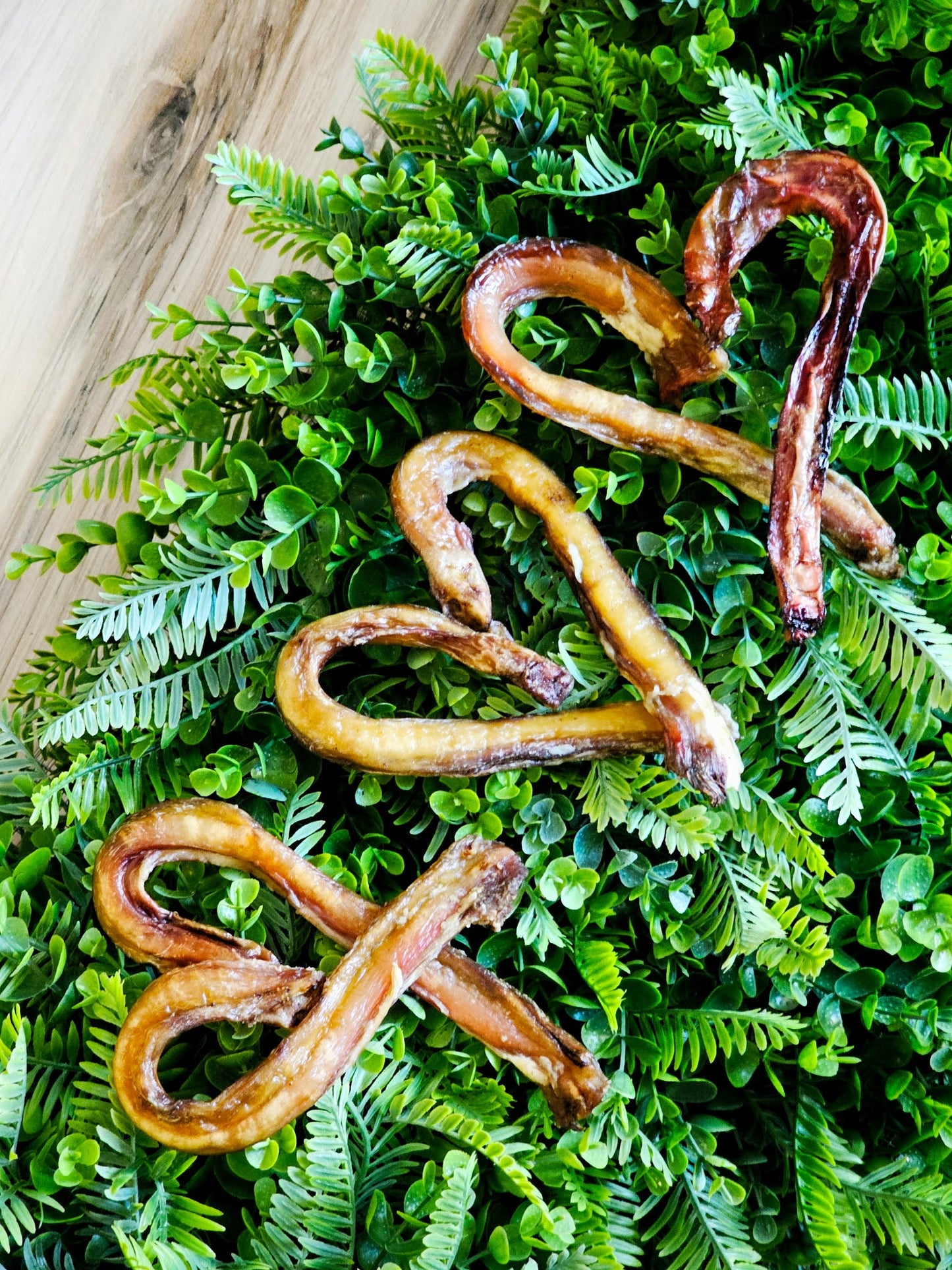 Beef Pizzle (Sticks, Loops, Short) - Limited Edition