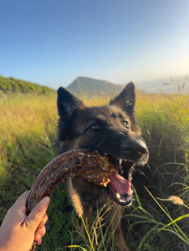 Turkey Neck