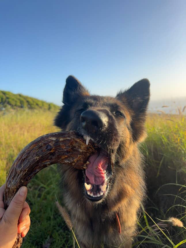 Turkey Neck