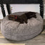 40 Inch Forever Dog Bed (Waterproof) - Terry Corduroy