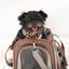 Mr. Peanut's Gold Series Standard Size Airline Compliant Pet Carrier