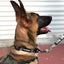 Strike Collar