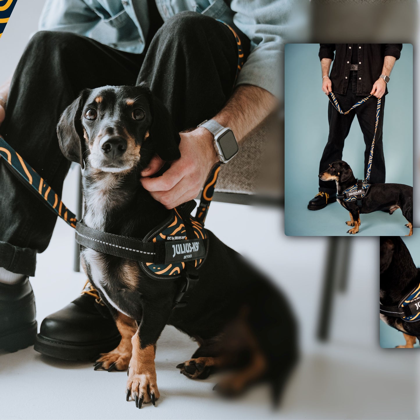 Limited Edition Bundle