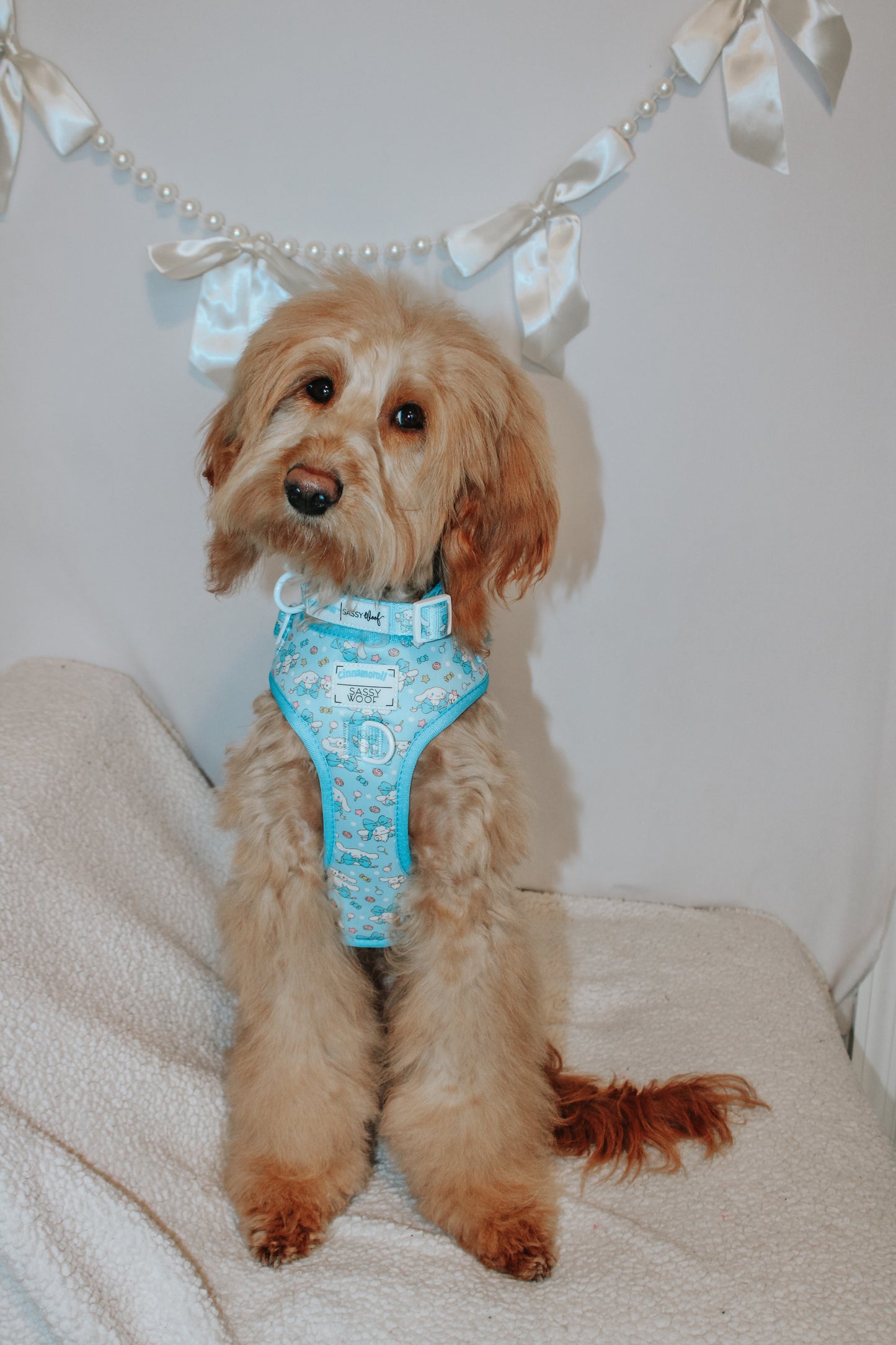Dog Collar - Cinnamoroll™