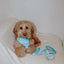 Dog Leash - Cinnamoroll™