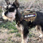 KILONINER STARS & STRIPES Morale Patch