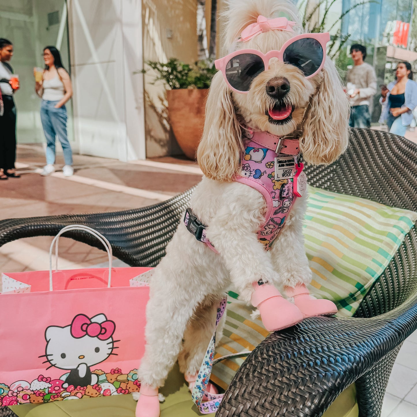 Dog Two Piece Bundle - Hello Kitty® & Friends Flower Festival