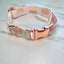 Arches Collar