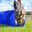 Better Sporting Dogs 10 ft Dog Agility Tunnel with Sandbags – Training Tunnel for Backyard Agility Courses