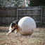 Better Sporting Dogs 25” Heavy Duty Sheep Lookalike Herding Ball for Dogs