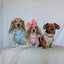 Dog Adjustable Harness - My Melody™