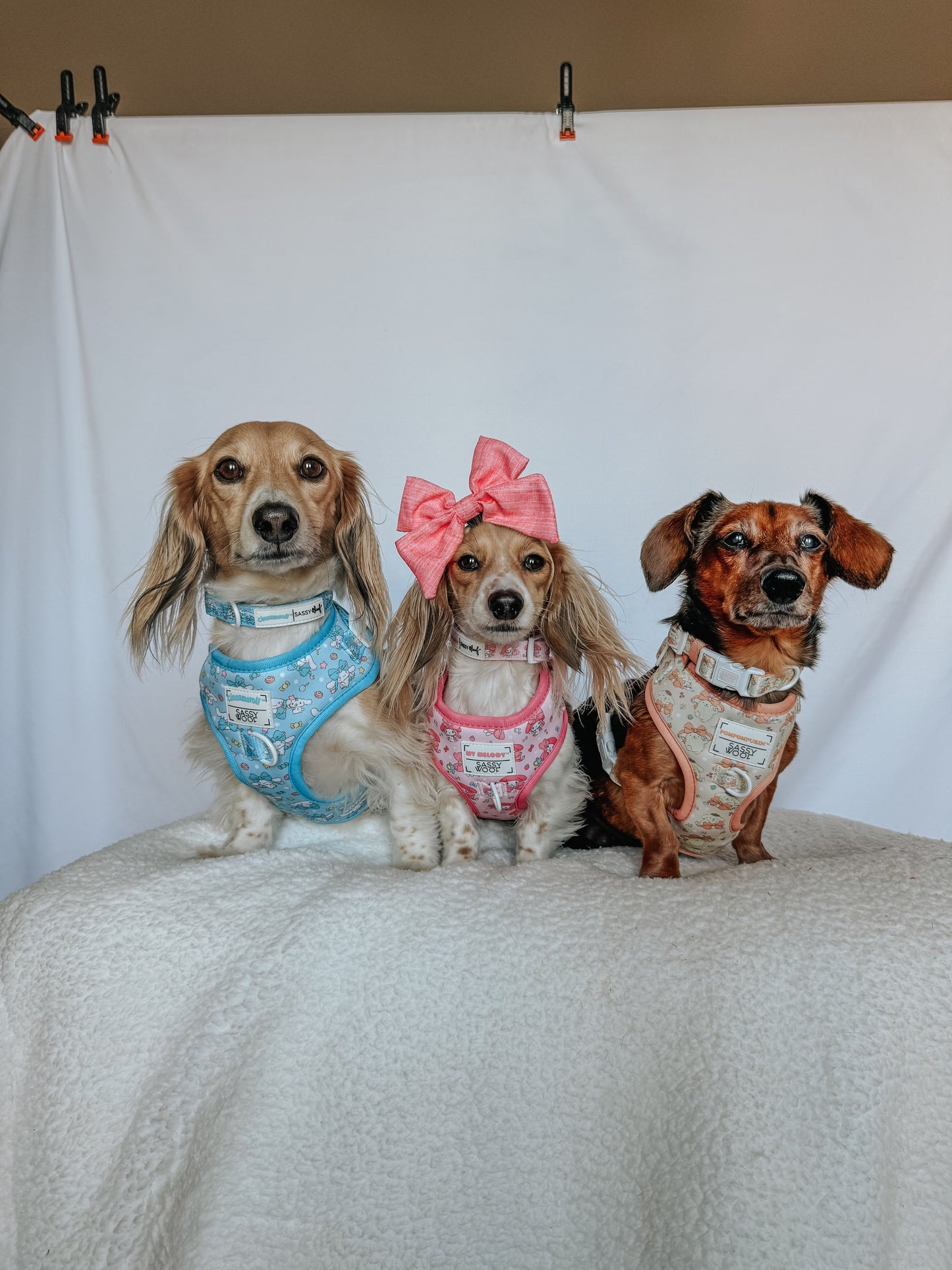Dog Adjustable Harness - My Melody™