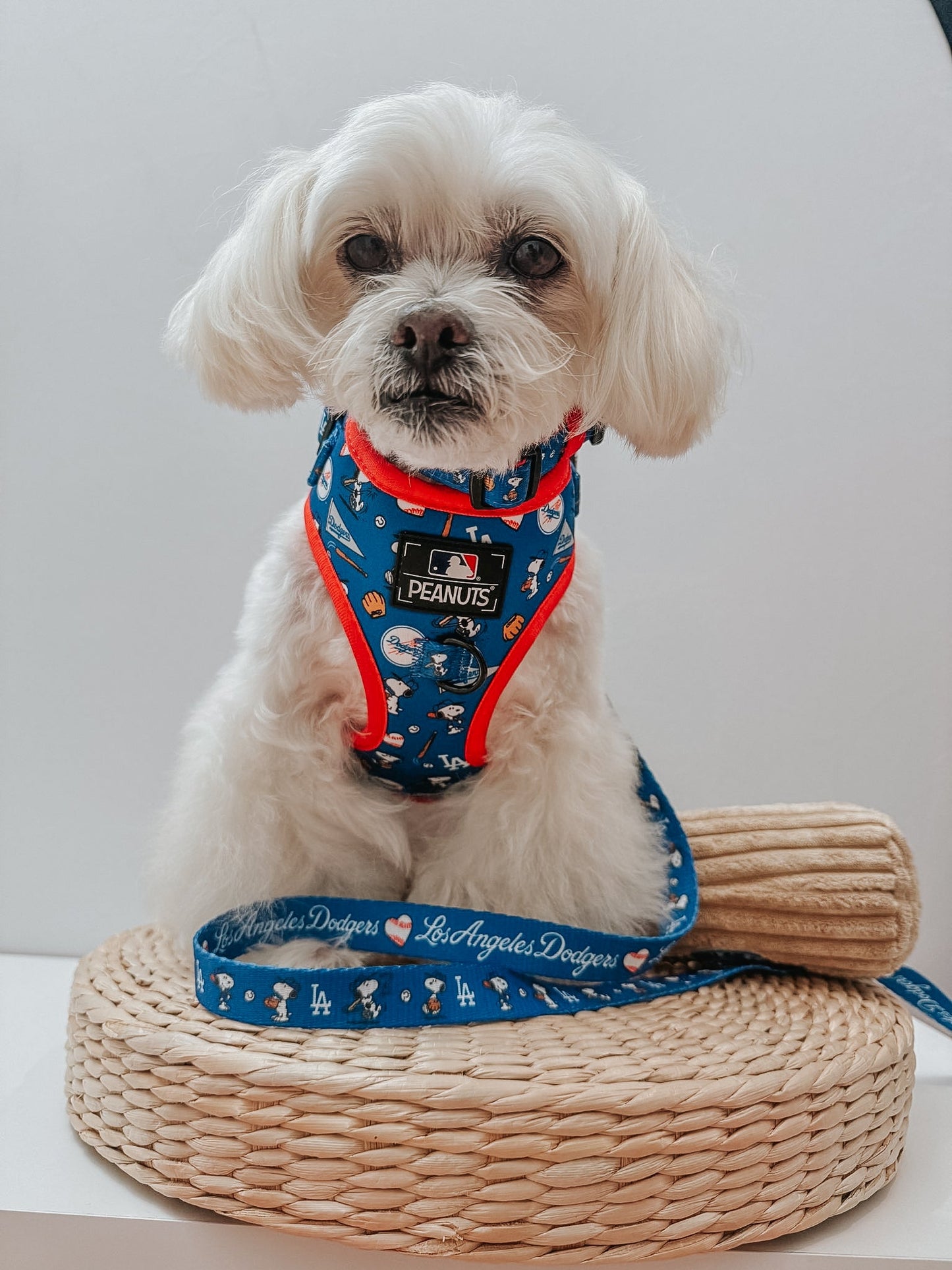 Dog Adjustable Harness - MLB™ x Peanuts™ Los Angeles Dodgers™